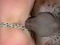 b1.flv