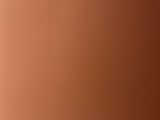9d.flv